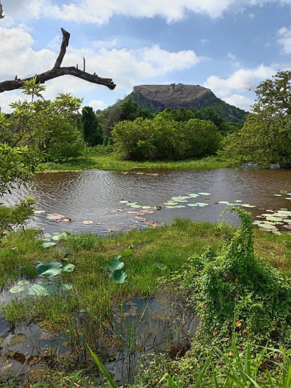 Kings Village Sigiriya Eksteriør billede