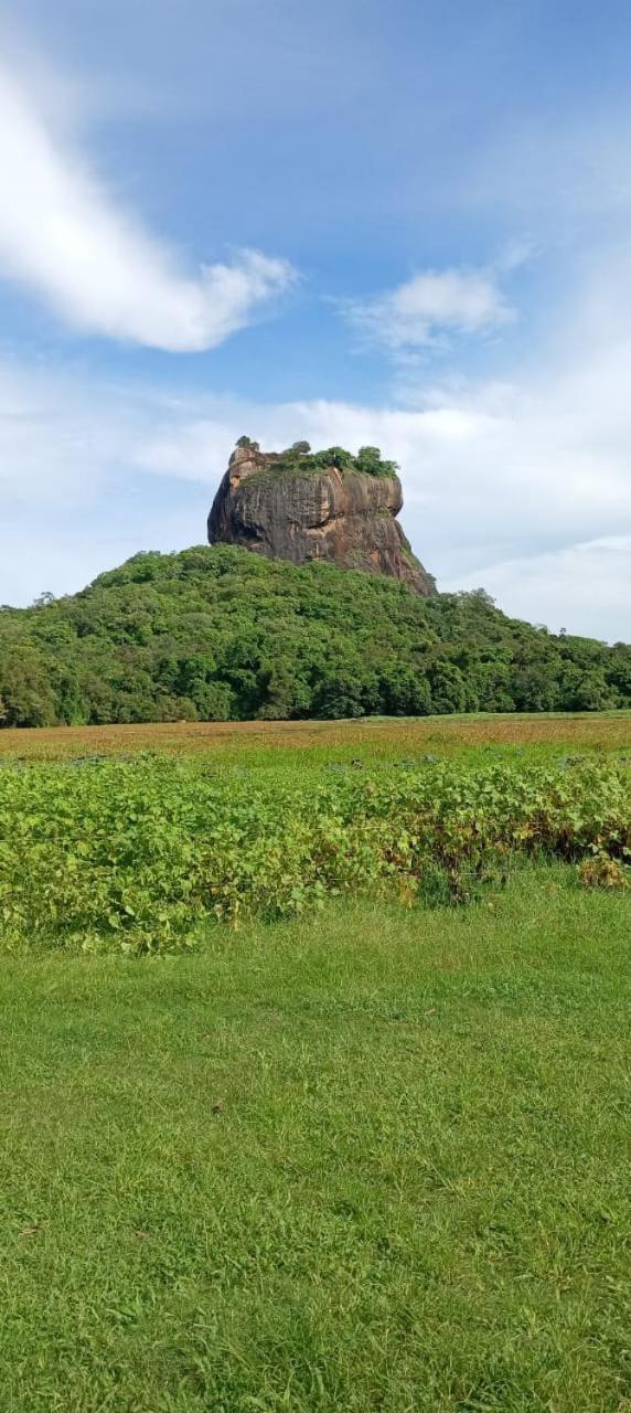 Kings Village Sigiriya Eksteriør billede