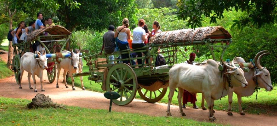 Kings Village Sigiriya Eksteriør billede