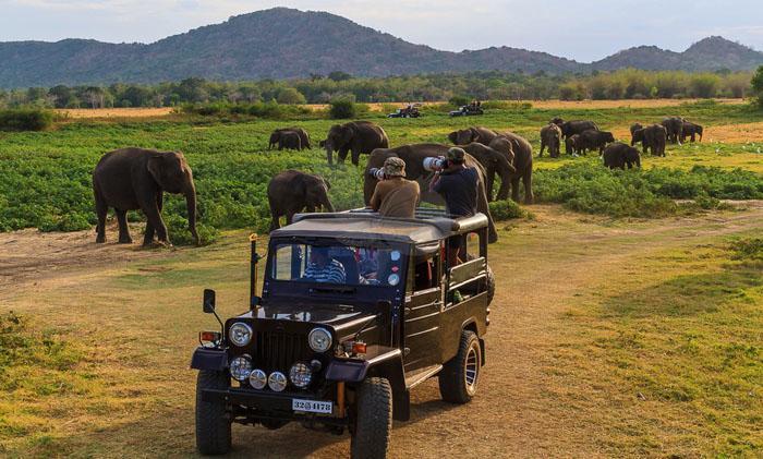 Kings Village Sigiriya Eksteriør billede