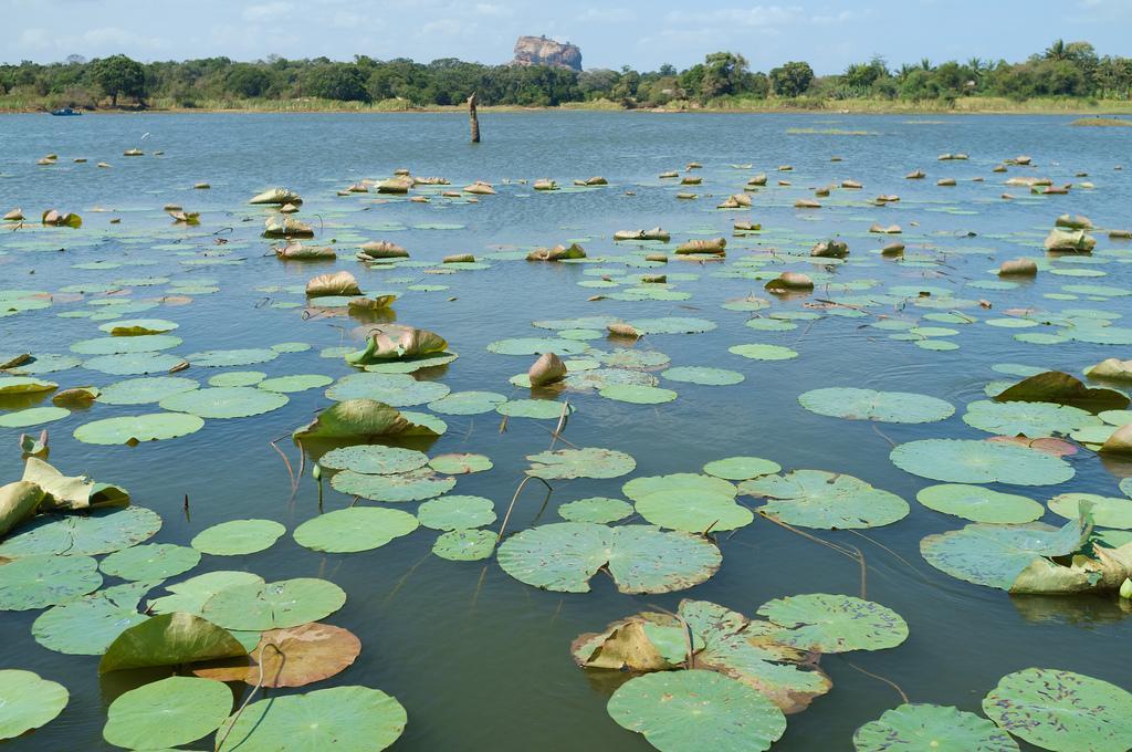 Kings Village Sigiriya Eksteriør billede